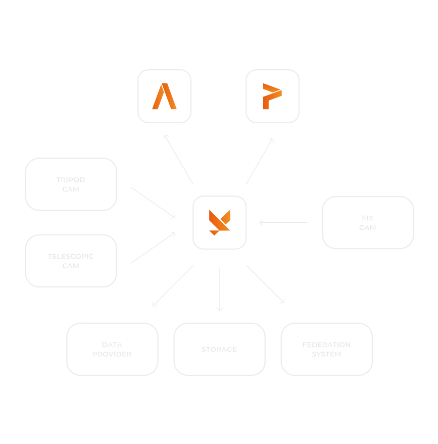 Diagram illustrating the collaboration between Panoris and its partners
